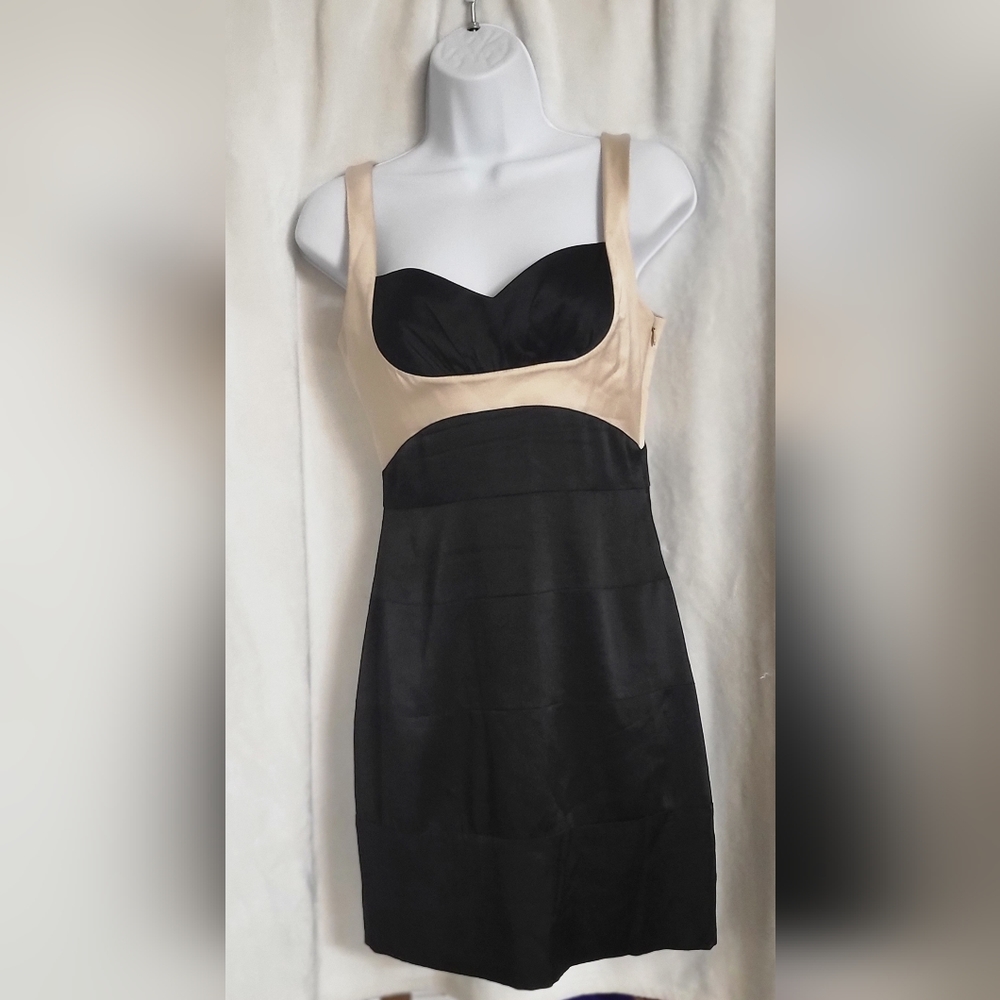 BCBG Maxazria 2 tone Dress 2